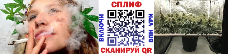 Купить  Шадринск  Конопля MAZAR 